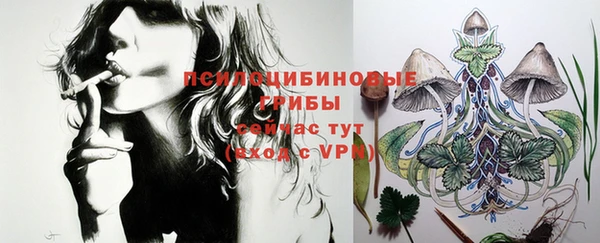 хмурый Краснотурьинск