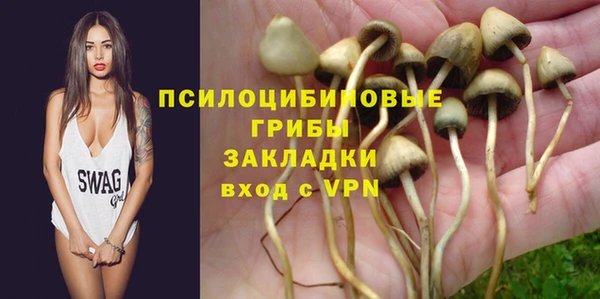 синтетический гашиш Краснослободск