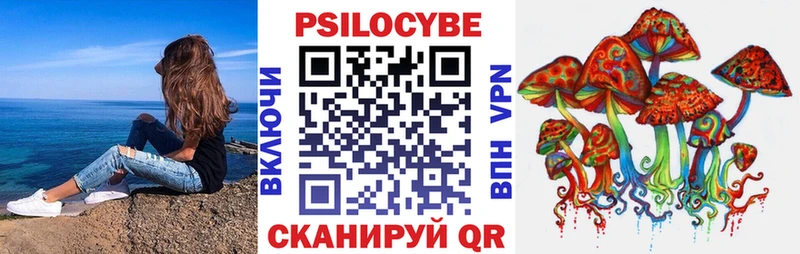 Псилоцибиновые грибы Magic Shrooms  Купить где  Болхов 